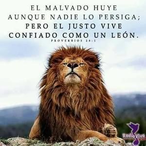 Meet your Posher, Martin